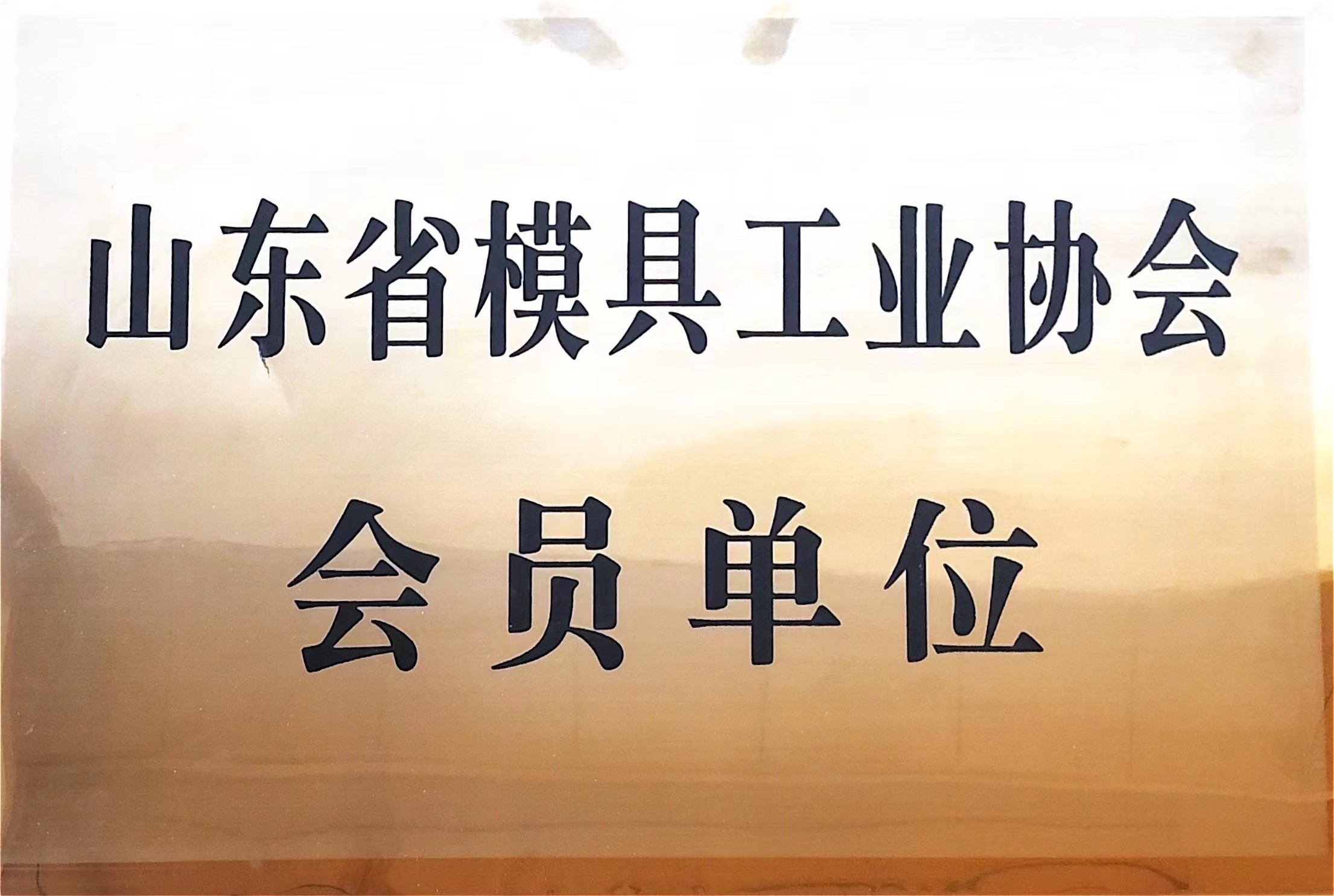 山东省模具工业协会会员单位
